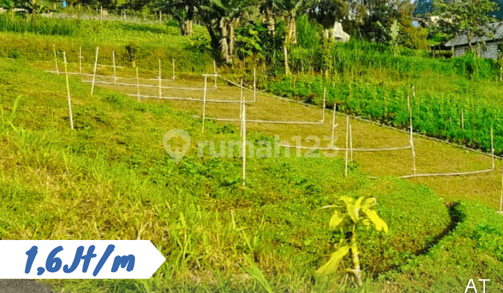 Yard Near Tawangmangu Tourist Area