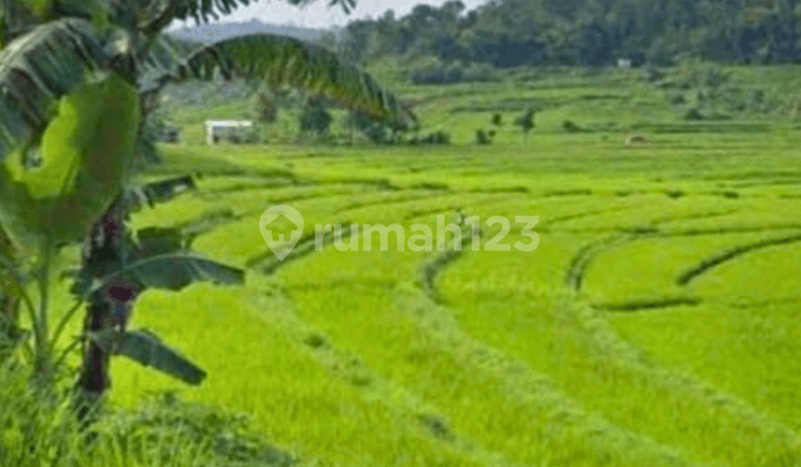 Tanah Karangpandan Karanganyar 225 Juta