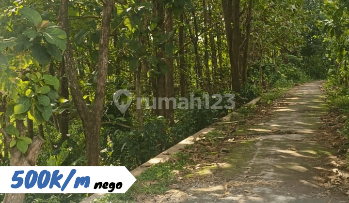 Residential Area Land