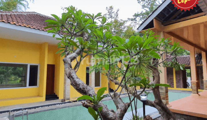 Villa dan Kebun Buah Mojogedang