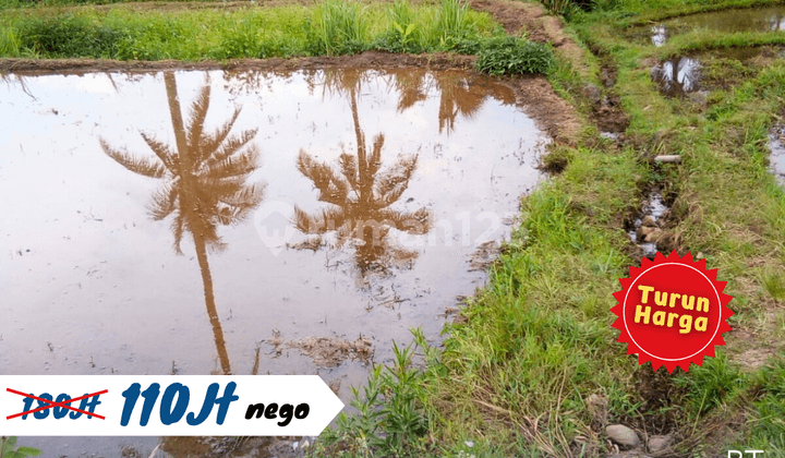 Turun Harga!!! Sawah Cisaat Sukabumi