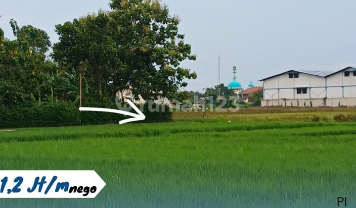 Yard Near Kebakkramat Toll Gate Entrance