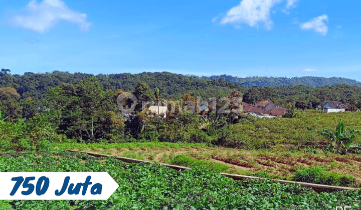 Dijual Tanah Bagus Jalur Wisata Kemuning