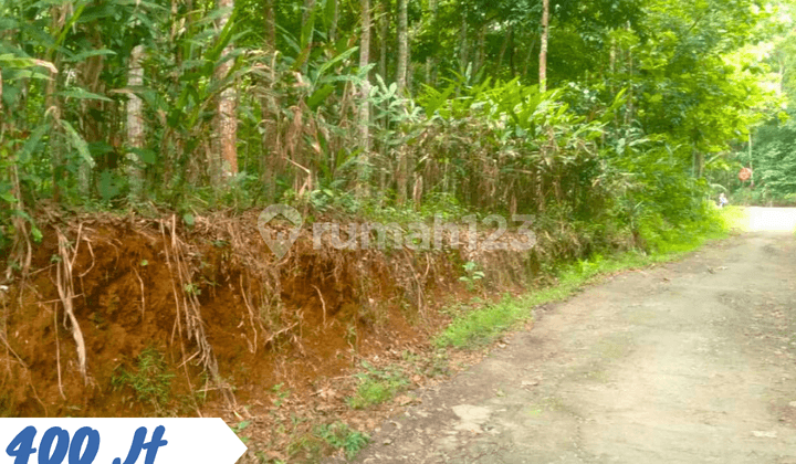 For Sale: Yard Status Land, Location Karangpandan