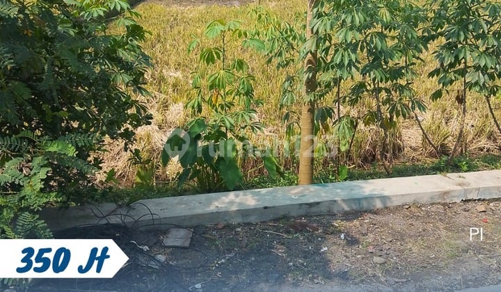 Sawah Murah Simo Kebakkramat