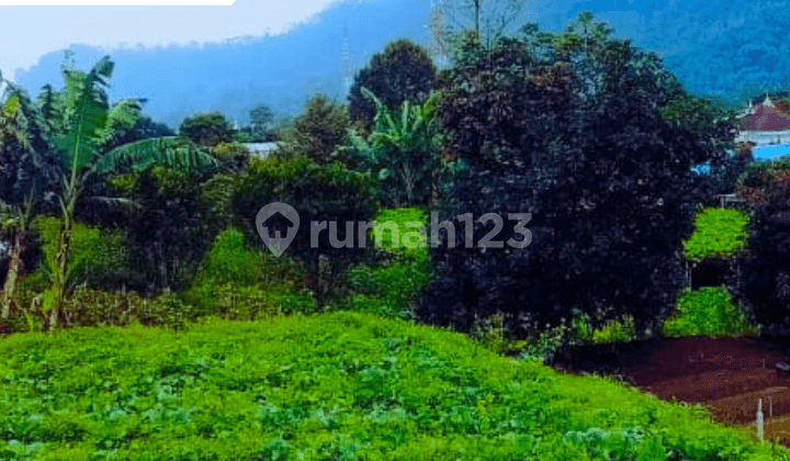 Yard Near Kemuning Glass Bridge