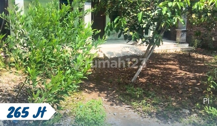 Pekarangan Bonus Rumah Kebakkramat