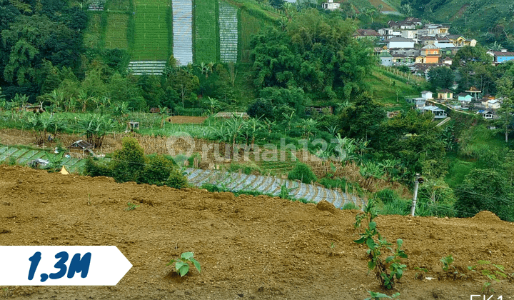 Tanah View Memukau Tawangmangu