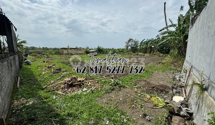 Tanah 14 Are View Sawah Dijual di Jl Beringin Padonan Badung Bali SHM Freehold - Lskhe