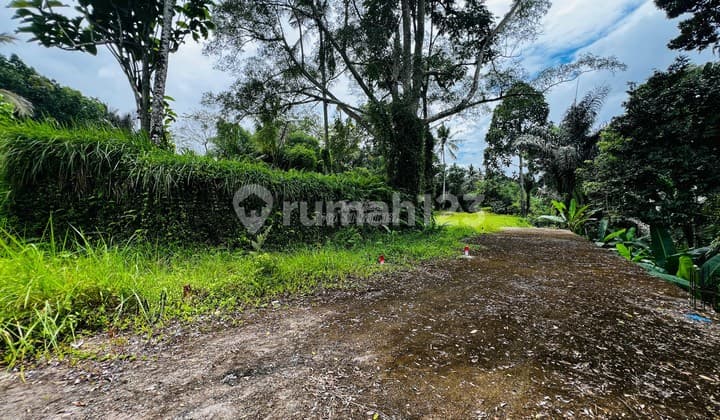 Tanah SHM View Sungai Payangan Ubud Dekat Hotel Bintang 5 - Lsadt