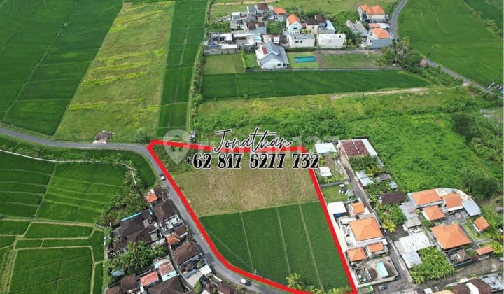 Disewakan Tanah Minimal Ambil 10 Are. Lokasi Kaba-Kaba,Tabanan - Llwy