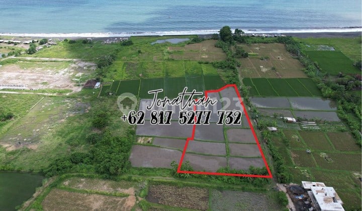 Land for Sale 51 Are at Siyut Beach Gianyar