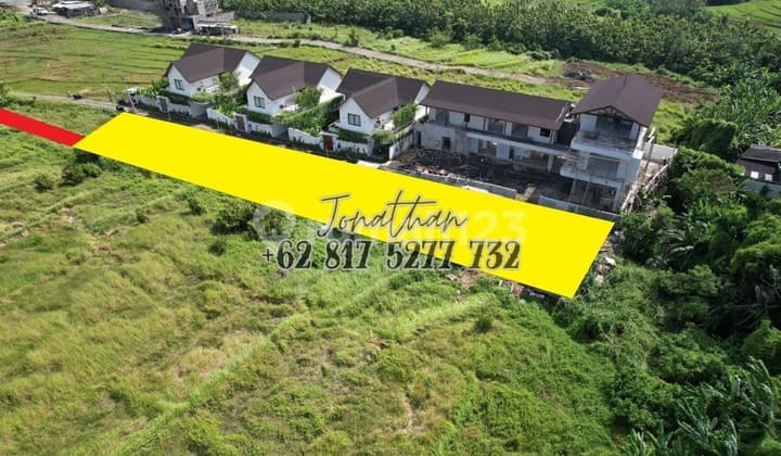 Pink Zone Land 13 Are Developing Area Near Seseh and Canggu Beaches, Bali