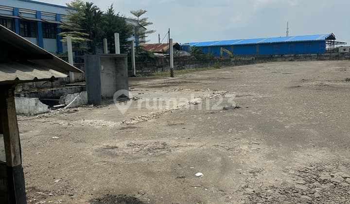 Cacing Raya Strategis Siap Pakai