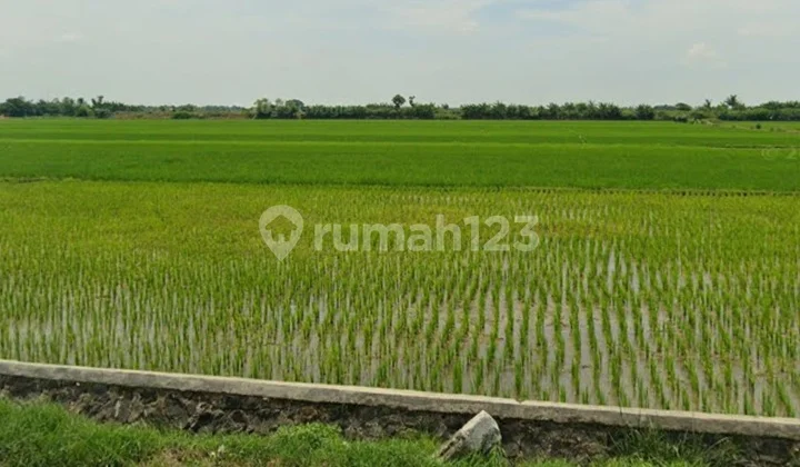 Land for Sale in Kendal Industrial Area Land for Sale in Kendal Industrial Area