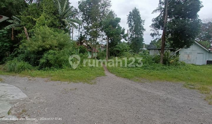 Tanah Mlati Sleman Dekat Jalan Magelang dan Hyatt Hotel