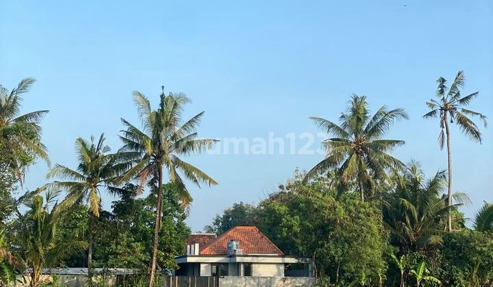 Rumah Villa Pinggir Sawah View Gunung di Piyungan Bantul Untuk Tinggal Atau Disewakan