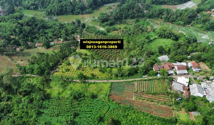 Garden Land Car Access Fence Surrounding Mountain View
