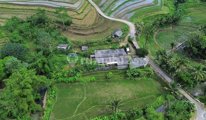 Tempuran Magelang Tanah Akses Mobil Murah dekat Kopral Purwadi