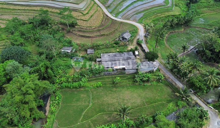 Magelang Tempuran Land with Car Access Near Kopral Purwadi Affordable