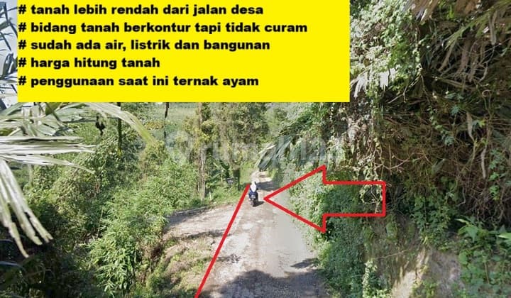 Dijual Murah Tanah Kebun Villa di Sukaresmi dekat Taman Bunga Nusantara Puncak
