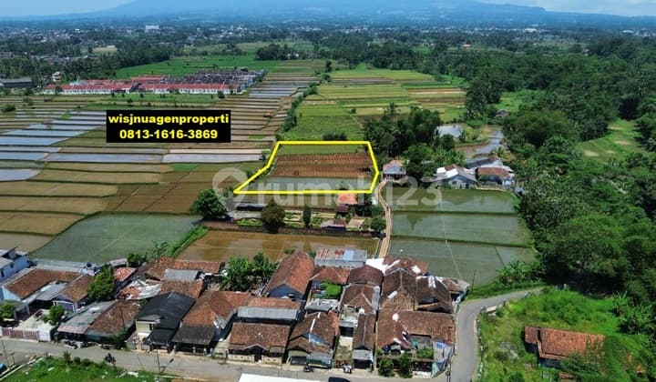Sawah Produktif Murah View Gunung Gede di Kebonpedes Sukabumi