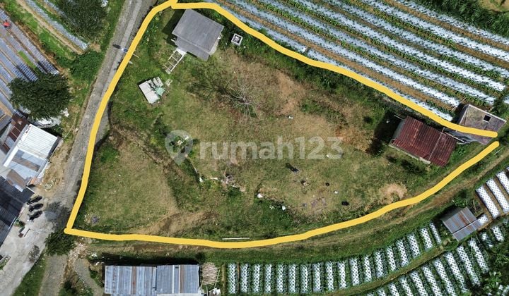 Tanah View Indah di Kaliangkrik daerah Wisata Magelang