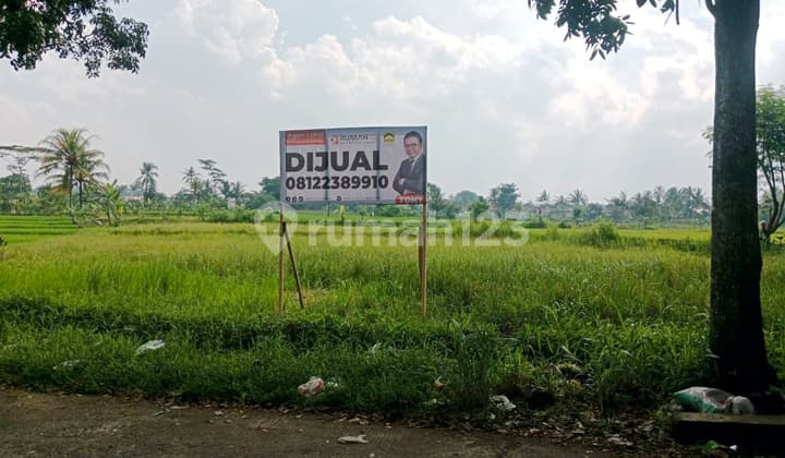 Tanah Sawah 3220 m2 di Karangtengah Dekat Pusat Kota Cianjur