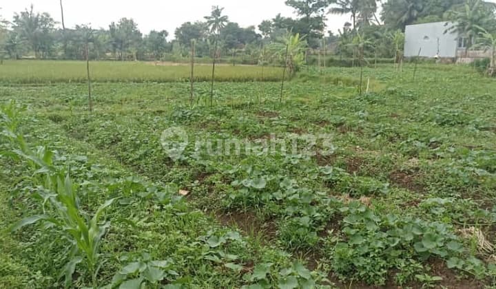 Tanah Strategis Di Pinggir Jalan Raya Lingkar Selatan Cianjur