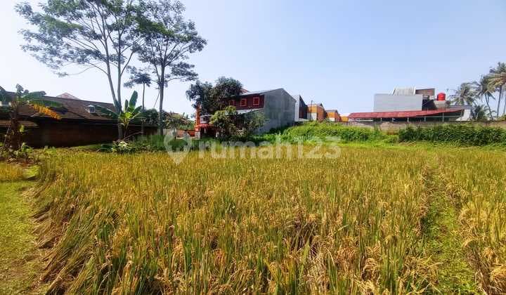 Cepat Tanah Luas 1034M2 Strategis di Limbangansari Cianjur