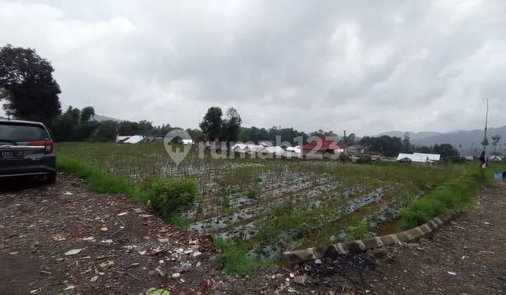 Cepat Tanah Murah Menguntungkan 4440M2 di Ciherang Pacet Cianjur