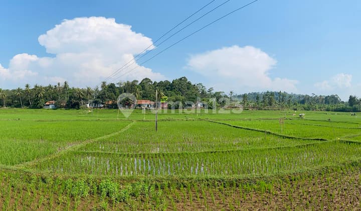 Tanah Sangat Luas Dekat Pusat Kota Cianjur Cocok Untuk Bisnis