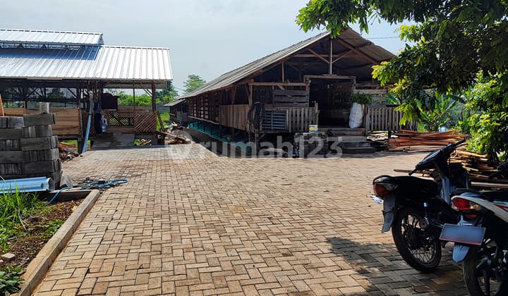 Lahan Produktif / Peternakan Domba Cocok Untuk Usaha Dimasa Pensiun