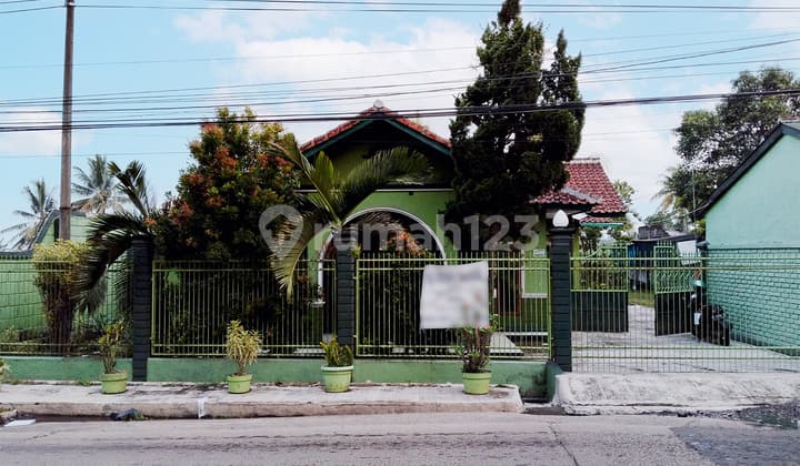 Rumah Dengan Halaman Luas Bagus Siap Huni Dekat Pusat Kota