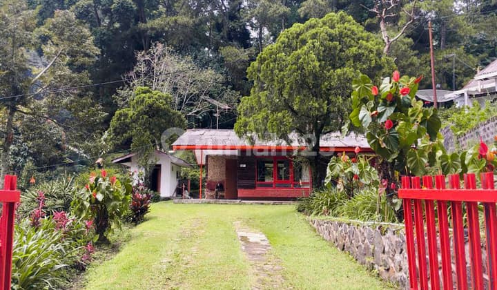 Villa Asri Siap Huni di Puncak Cianjur, Investasi Menguntungkan!