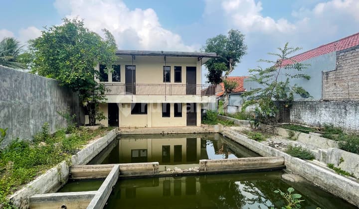 Tanah Luas Cocok Untuk Villa di Desa Sukamanah Cianjur