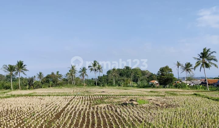 Tanah Luas 1,26 Hektar cocok untuk Perumahan dan Komersial lainnya