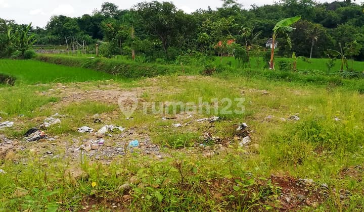 Tanah Kavling Luas 150 M2 Cocok Untuk Rumah Lokasi Strategis