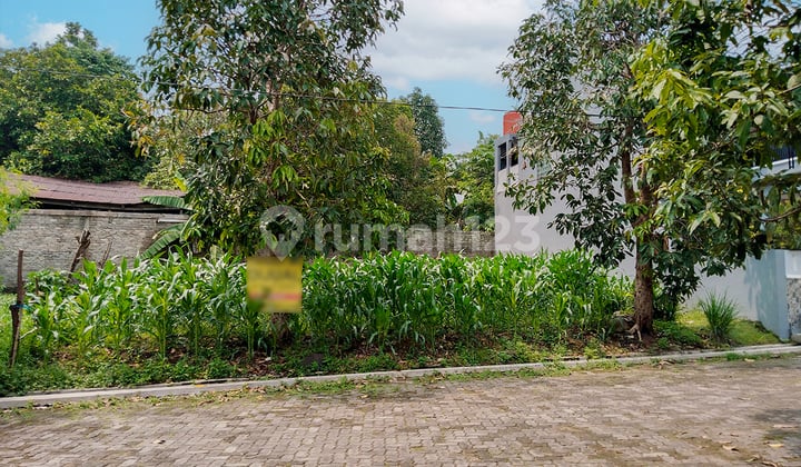 Tanah Luas 226 m² Cocok Untuk Rumah di Pusat Kota Cianjur