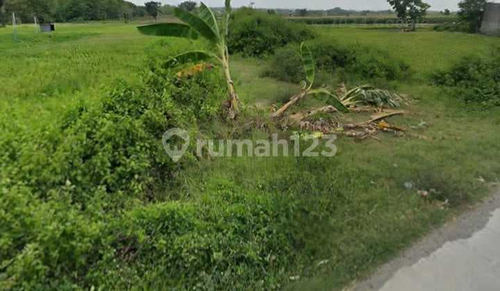 Dijual Tanah di Ngemplak Boyolali