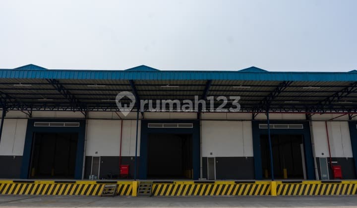 Disewakan Cepat Gudang Lokasi Strategis di Kapuk, Jakarta Utara
