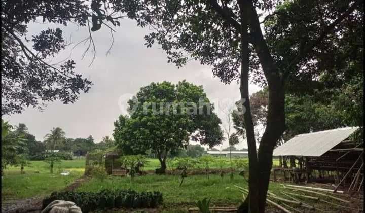 Dijual Tanah Lokasi Strategis Dekat Jl. Raya Pantura di Tigaraksa