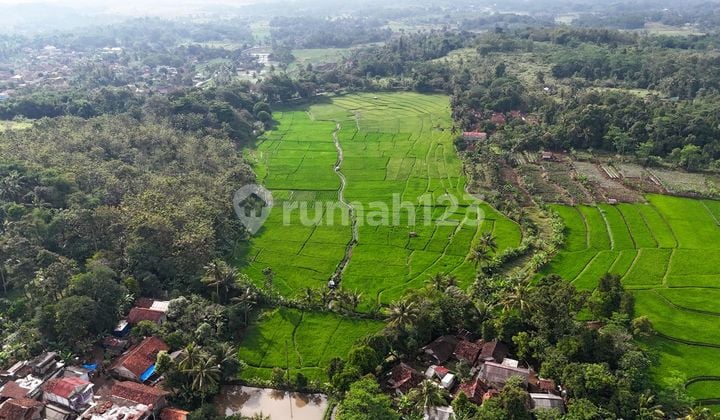 Lahan Murah Cocok Untuk Wisata Dekat Terminal Pasirhayam Cianjur