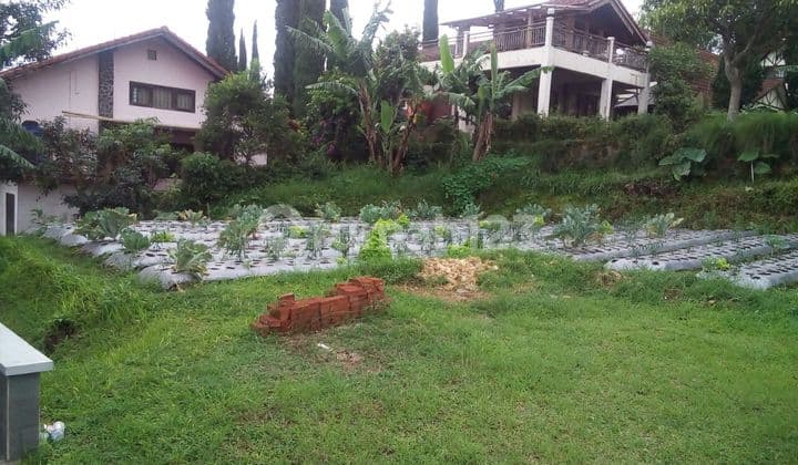 Land 333 m2 Flower Palace