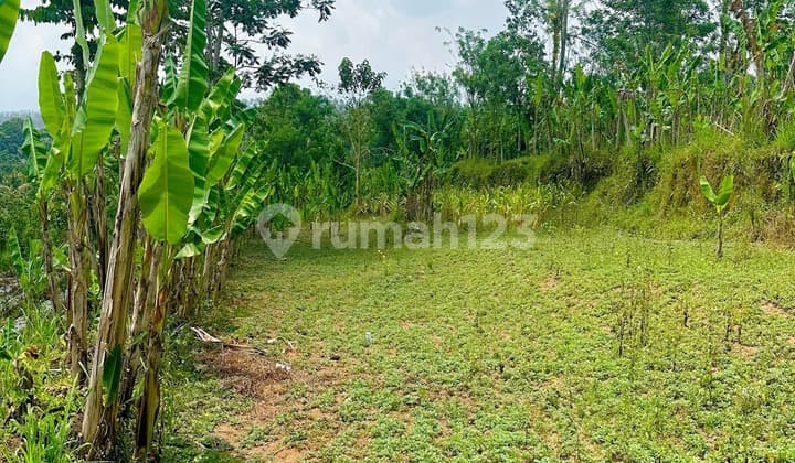 Tanah Di Pinggir Jalan Kontur Sangat Cocok Utk Resort
