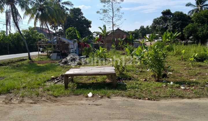 Tanah Cariu Bogor Lokasi Pinggir Jalan