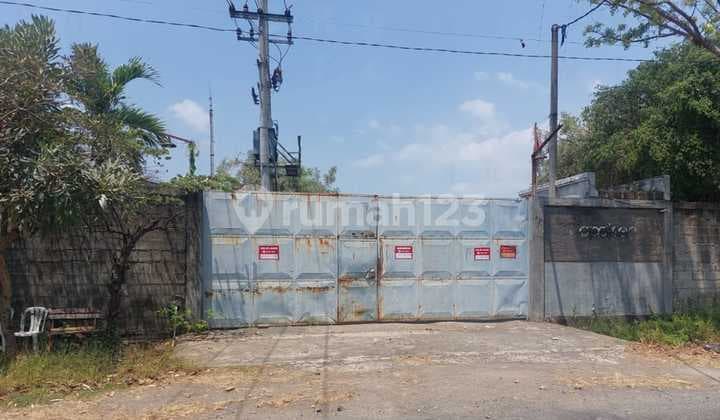 JUAL EX PABRIK PASURUAN MURAH JARANG ADA ONLY 800 rb/m2