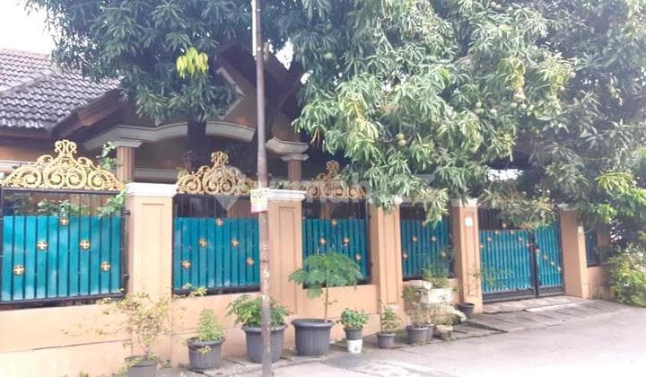 Dijual Rumah Luas Adem Nyaman Harga Nego di Setia Mekar Bekasi Timur