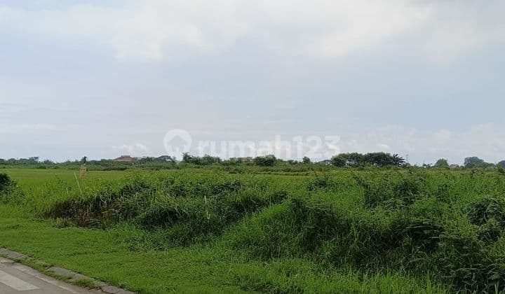 Tanah Kavling Siap Bangun Lokasi Strategis Harapan Indah Bekasi