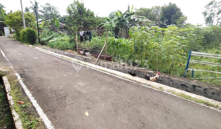 Tanah Kosong Nuansa Pedesaan Karangcegak Sumbang Purwokerto